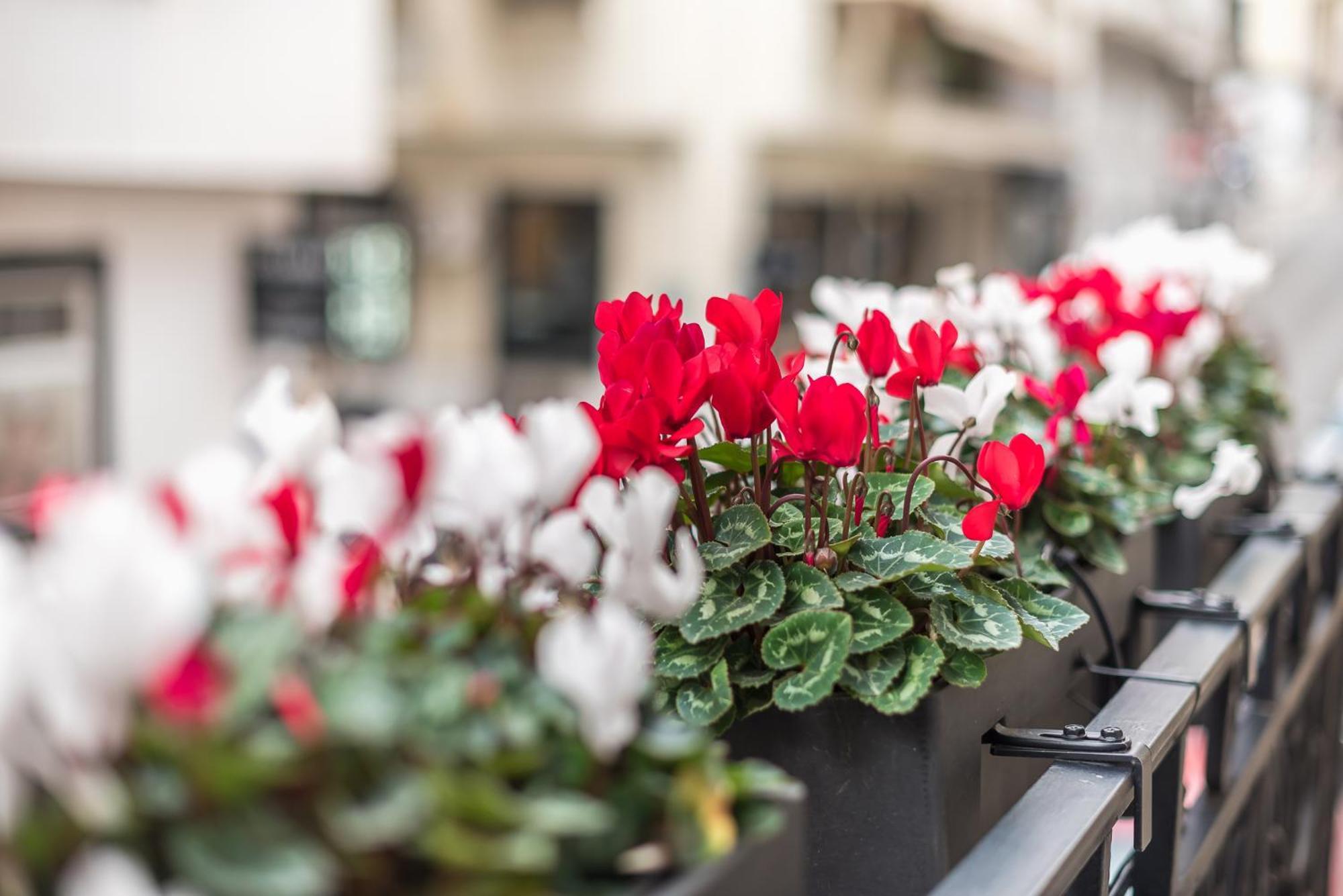 Apartamento The Rare Luxury Gem Near Syntagma, Kolonaki Square Atenas Exterior foto